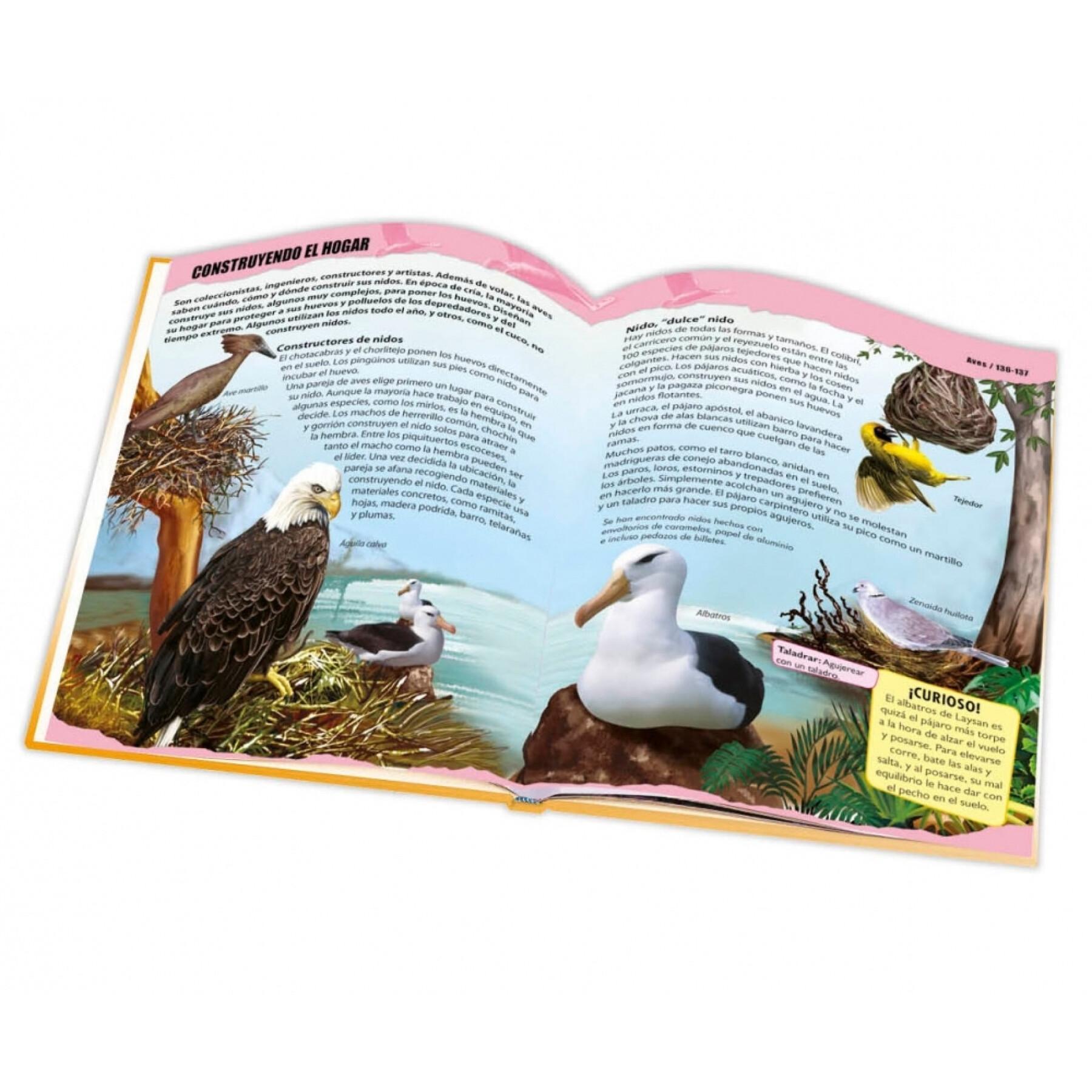 Groot boek dierenwereld Ediciones Saldaña